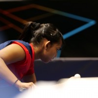 DAS_Syndrela_WTT_Feeder_Prishtina_DAY_4.jpg